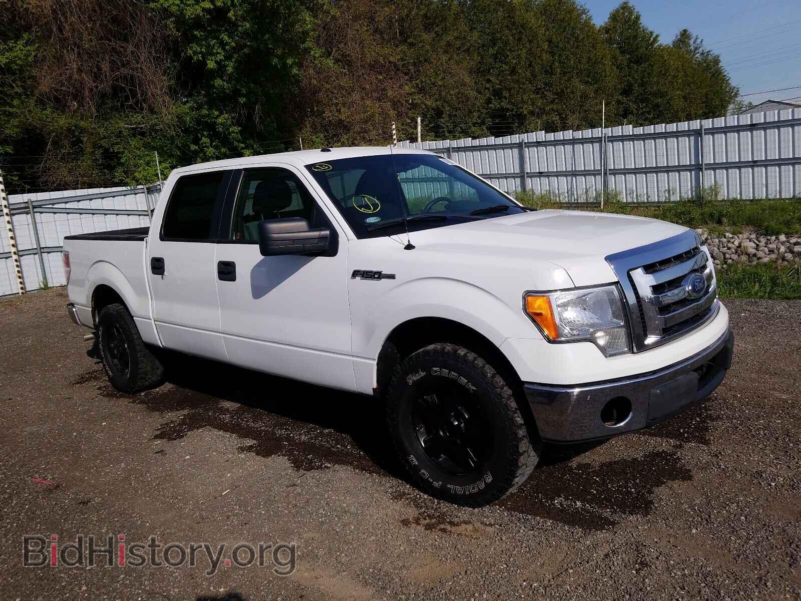 Фотография 1FTEW1CM0BKE00916 - FORD F150 2011