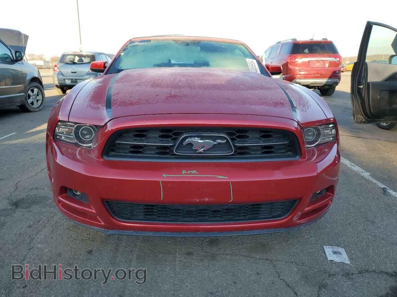 2013 FORD ALL Models - VIN: 1ZVBP8EM5D5219184 - Фото 5
