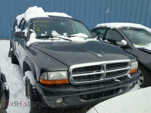 Photo 1D7HG38N34S518975 - DODGE DAKOTA 2004