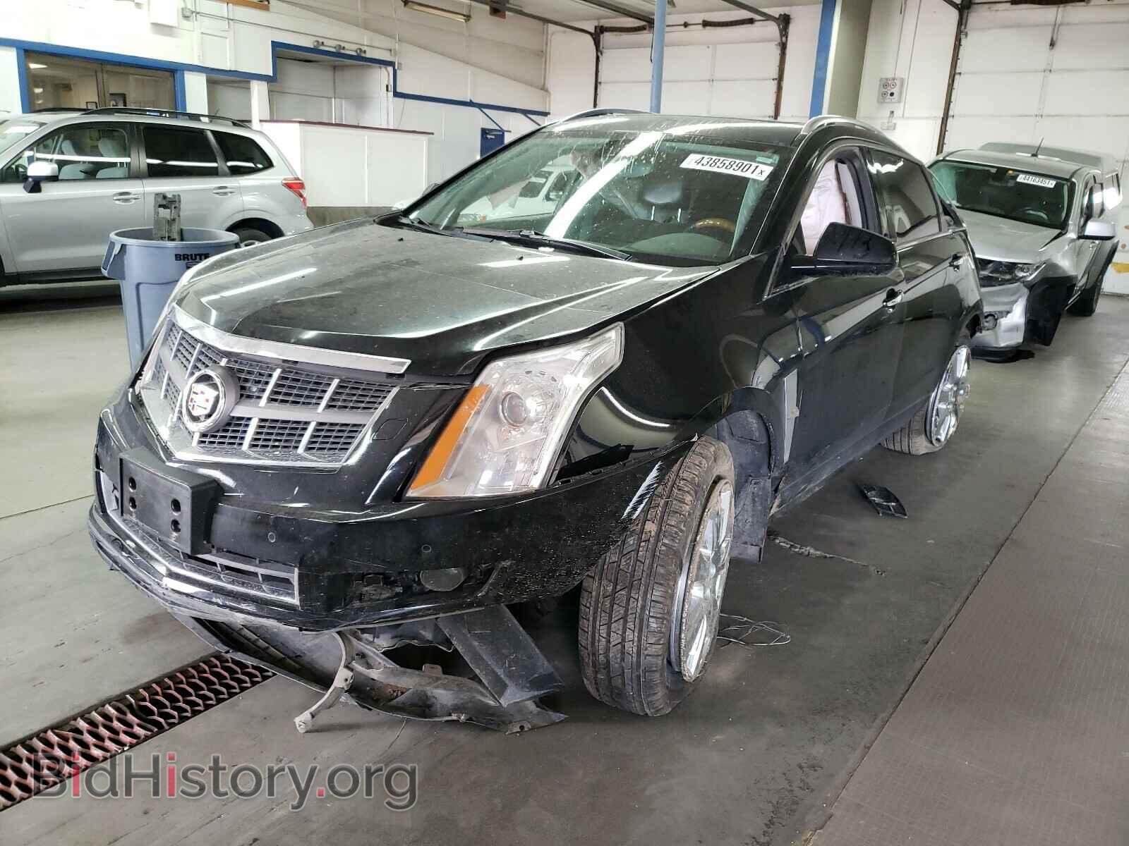 2010 CADILLAC SRX - VIN: 3GYFNEEY4AS544111 - Фото 2