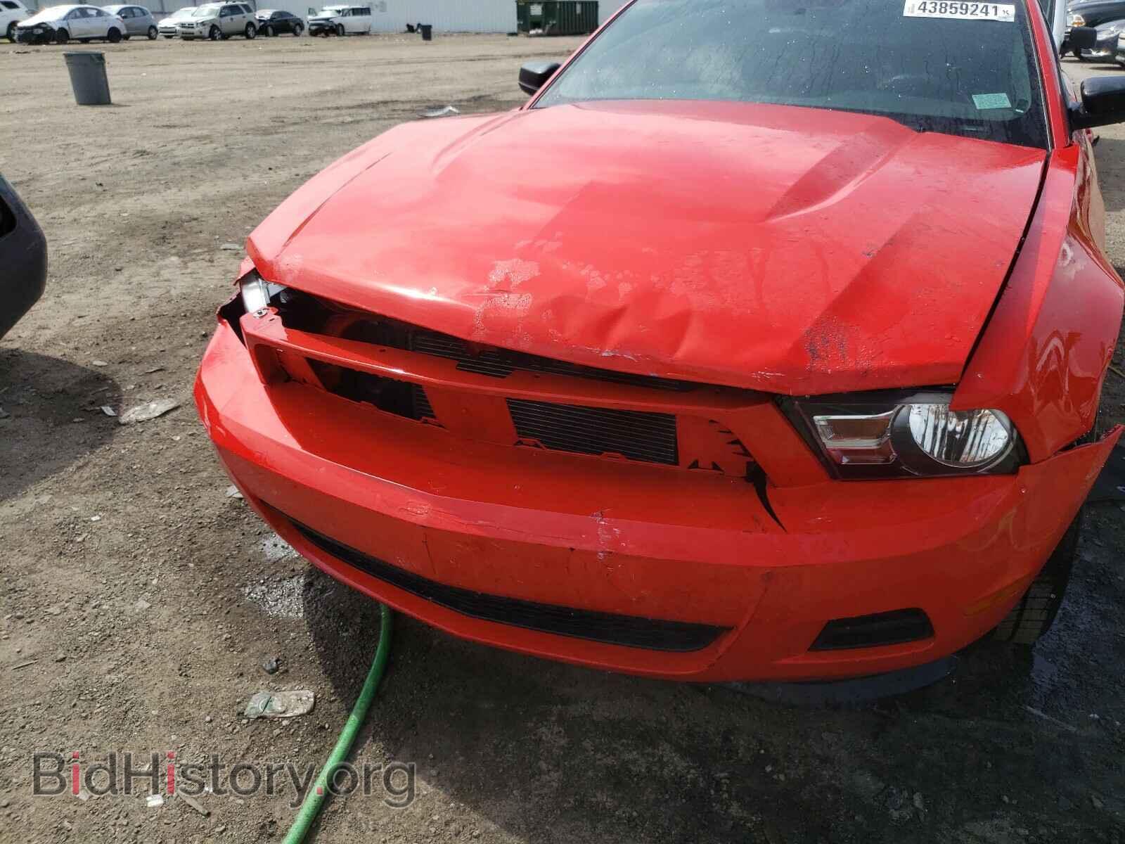 2011 FORD MUSTANG - VIN: 1ZVBP8AM4B5130998 - Фото 9