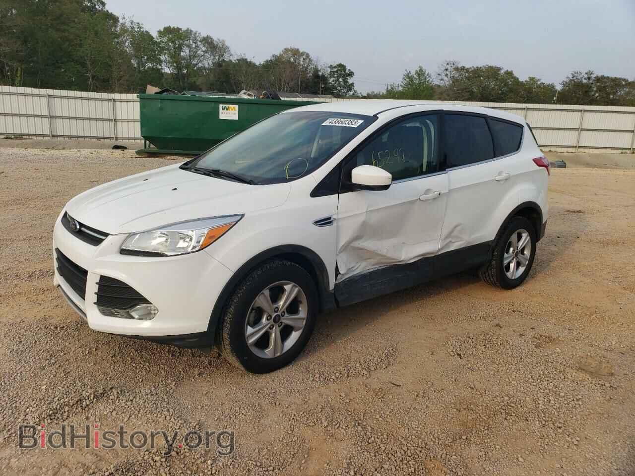 Photo 1FMCU0GX0EUB02429 - FORD ESCAPE 2014