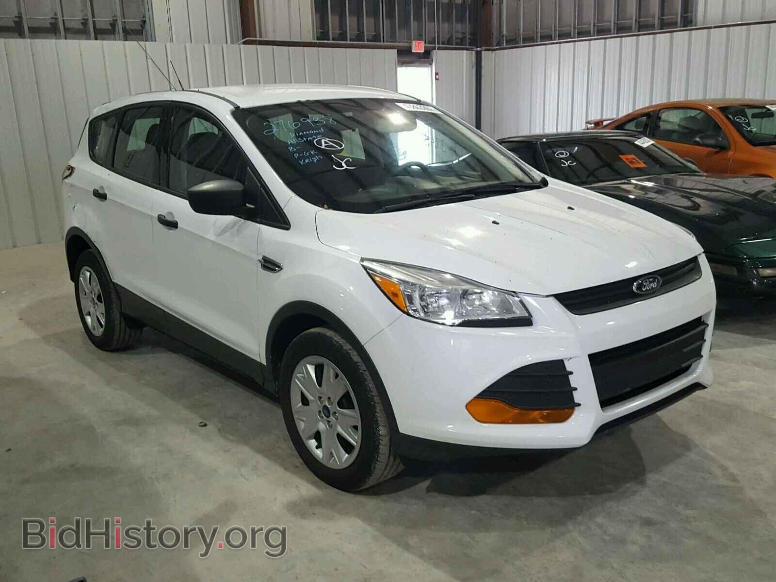 Photo 1FMCU0F77DUB68623 - FORD ESCAPE 2013