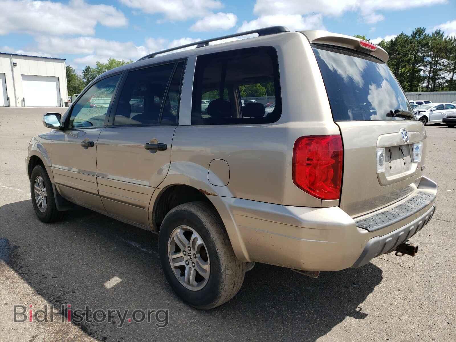 2005 HONDA PILOT - VIN: 2HKYF18525H532528 - Фото 3