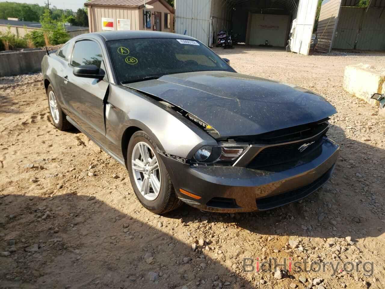 Photo 1ZVBP8AM6C5262839 - FORD MUSTANG 2012