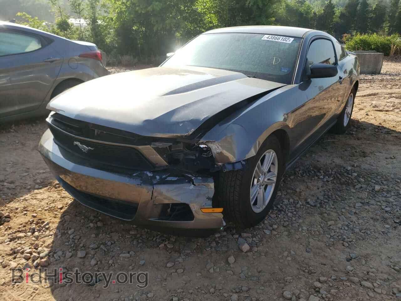 2012 FORD MUSTANG - VIN: 1ZVBP8AM6C5262839 - Фото 2