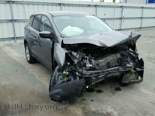Фотография 1FMCU0GX1EUC03110 - FORD ESCAPE 2014
