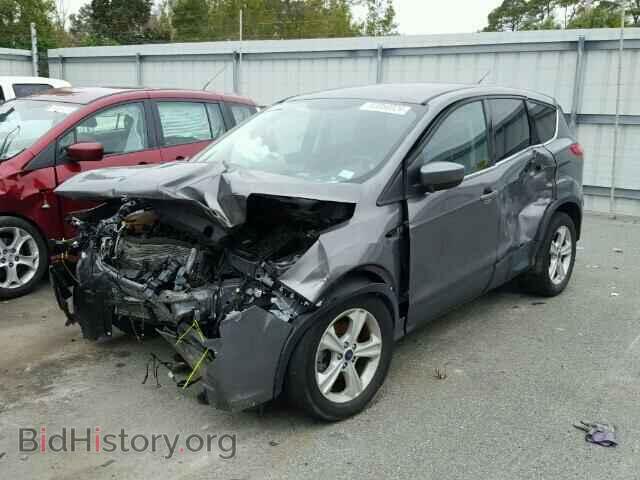 2014 FORD ESCAPE - VIN: 1FMCU0GX1EUC03110 - Фото 2