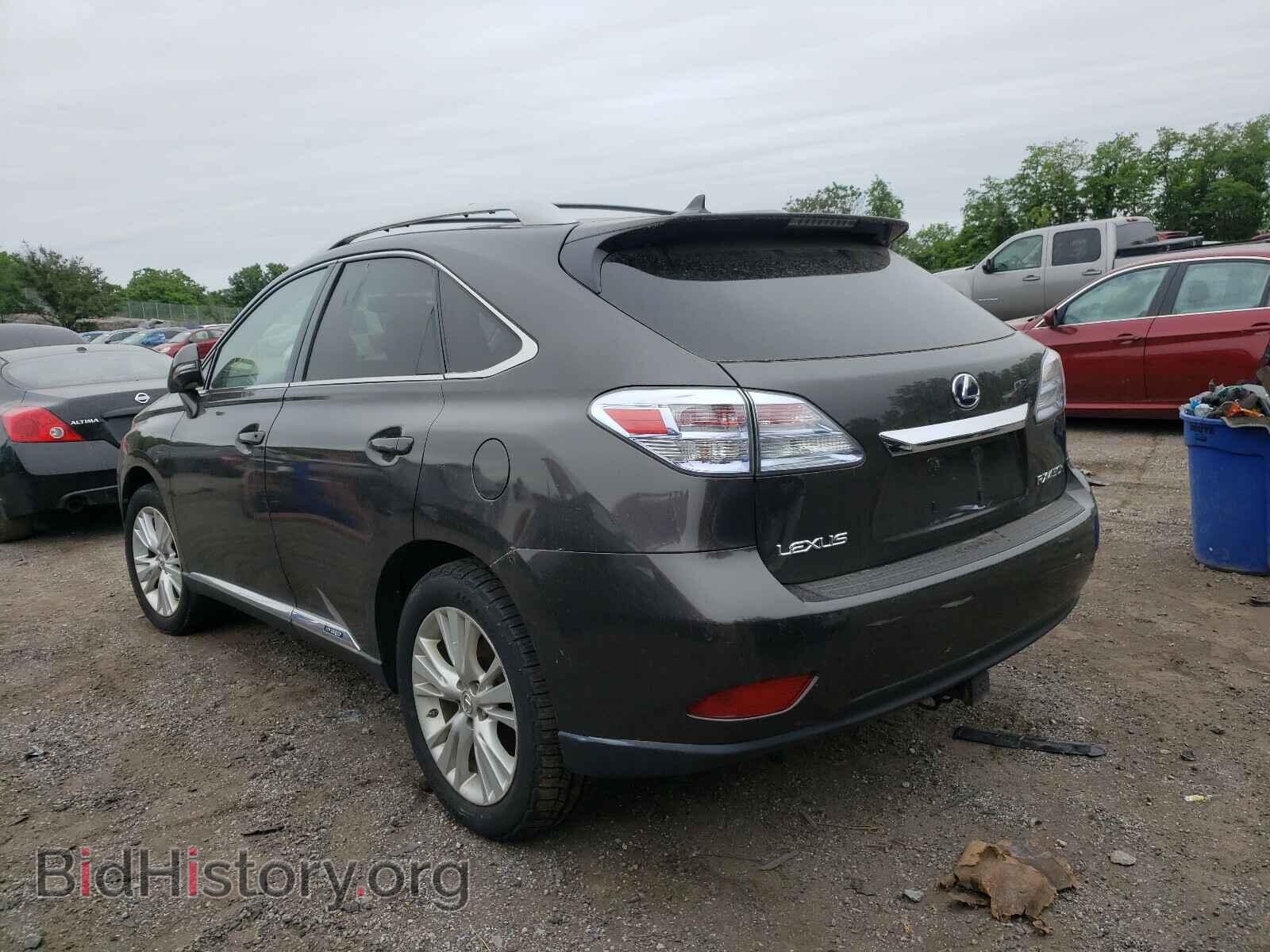 2010 LEXUS RX450 - VIN: JTJBC1BA1A2412698 - Фото 3