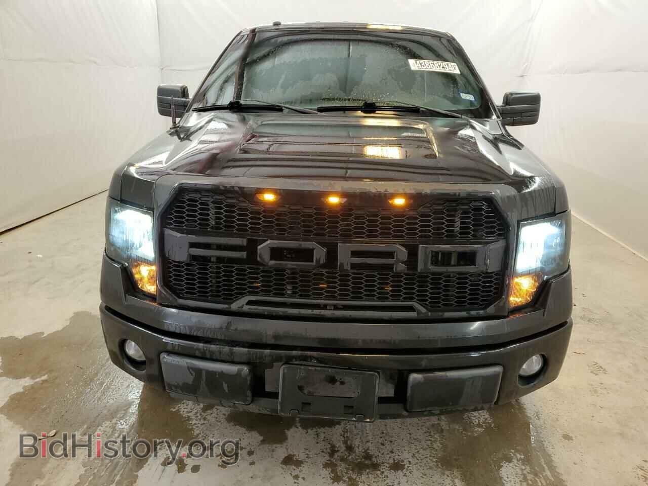2013 FORD F-150 - VIN: 1FTFX1CF0DKE69742 - Фото 5