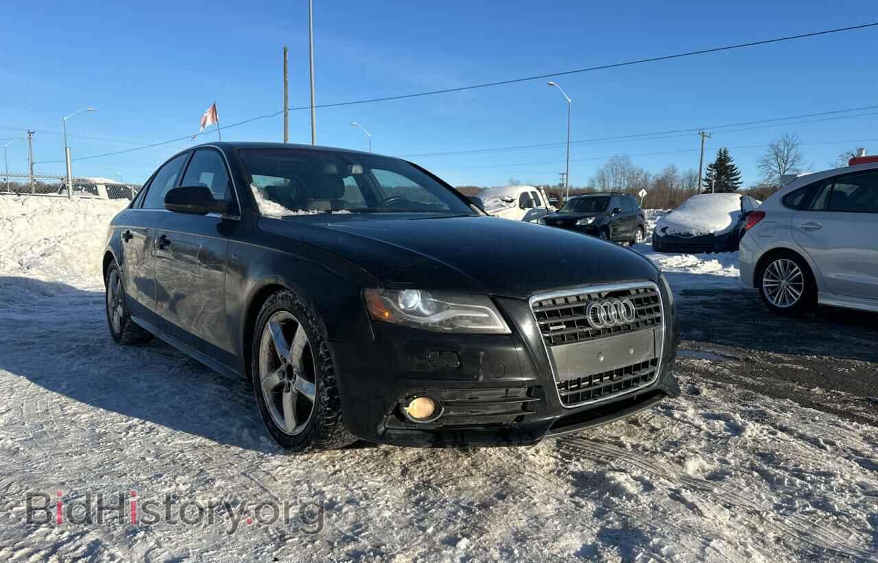 Фотография WAUFFCFL4AN044175 - AUDI A4 2010