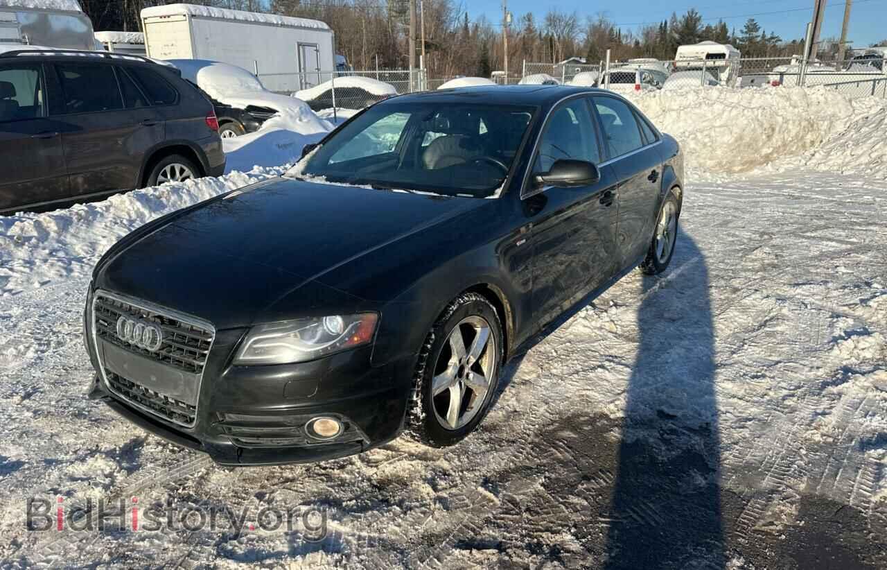 2010 AUDI A4 - VIN: WAUFFCFL4AN044175 - Фото 2