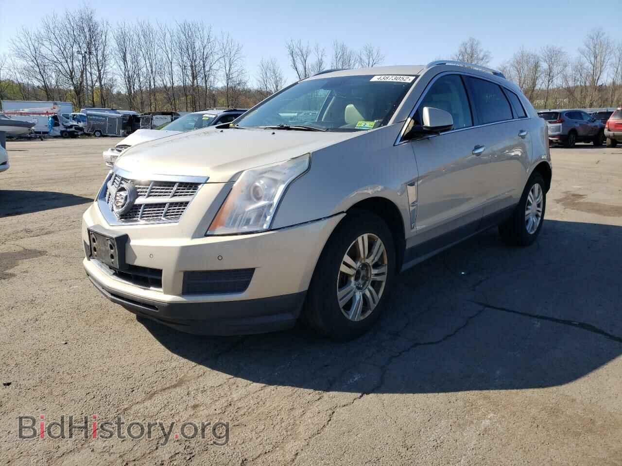 2011 CADILLAC SRX - VIN: 3GYFNDEY9BS605965 - Фото 2
