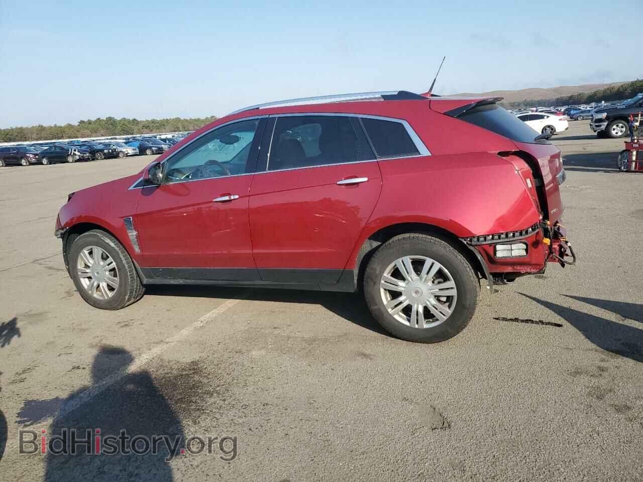 2011 CADILLAC SRX - VIN: 3GYFNDEY9BS607361 - Фото 2