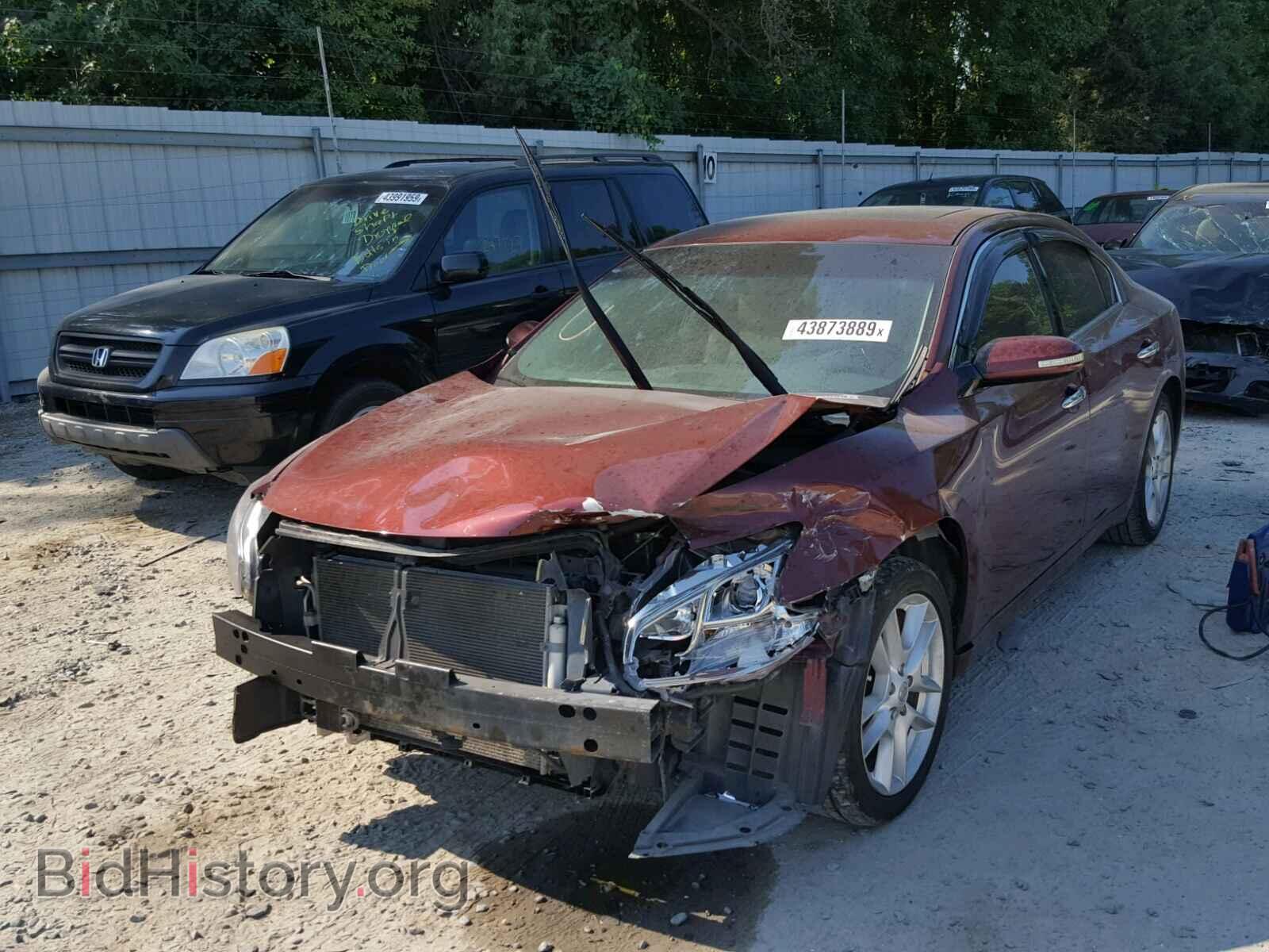 2009 NISSAN MAXIMA S - VIN: 1N4AA51E29C806237 - Фото 2