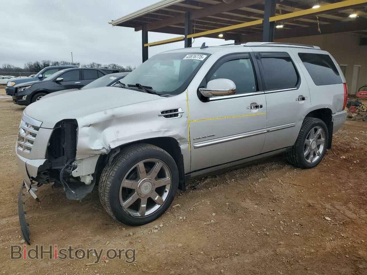 Photo 1GYS4CEF3BR116443 - CADILLAC ESCALADE 2011