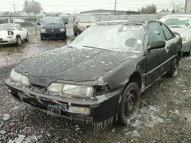 1991 ACURA INTEGRA - VIN: JH4DA9475MS005231 - Фото 2