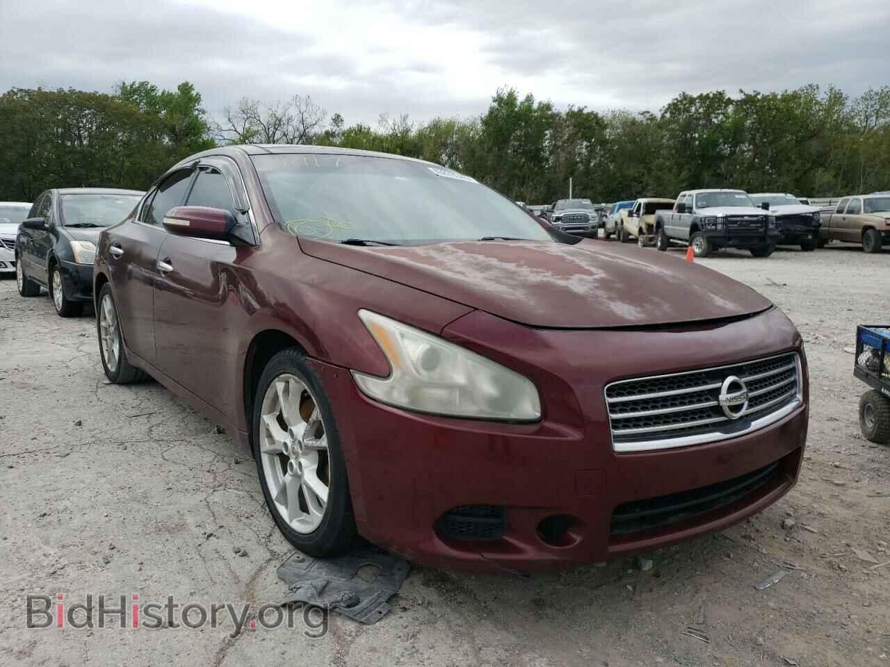 Photo 1N4AA5AP8AC811917 - NISSAN MAXIMA 2010