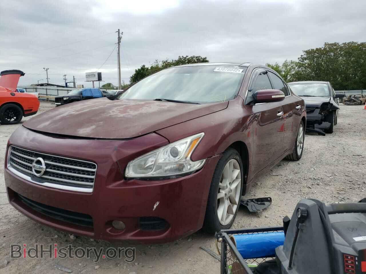 2010 NISSAN MAXIMA - VIN: 1N4AA5AP8AC811917 - Фото 2