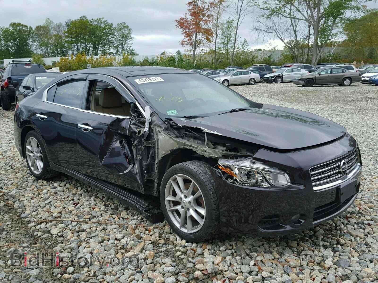 Фотография 1N4AA5AP8BC809148 - NISSAN MAXIMA 2011
