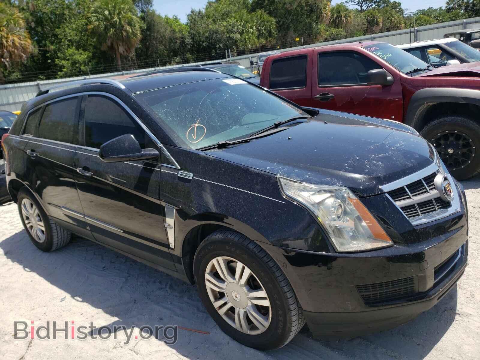 Photo 3GYFNAE30CS599011 - CADILLAC SRX 2012