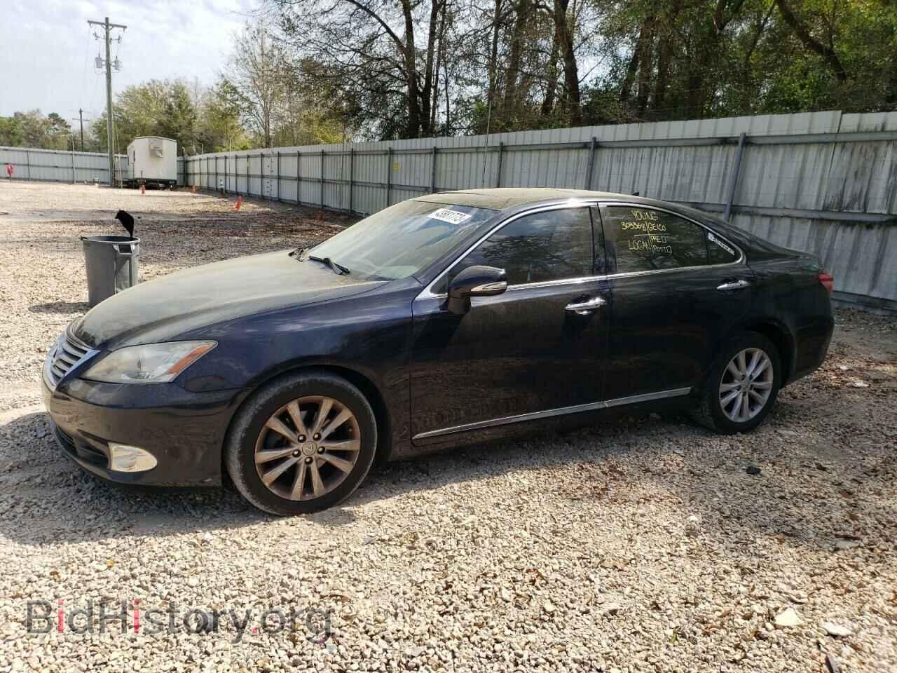 Фотография JTHBK1EG8A2363102 - LEXUS ES350 2010