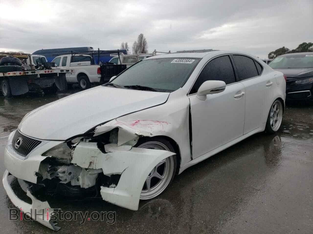 Фотография JTHBK262295103460 - LEXUS IS 2009