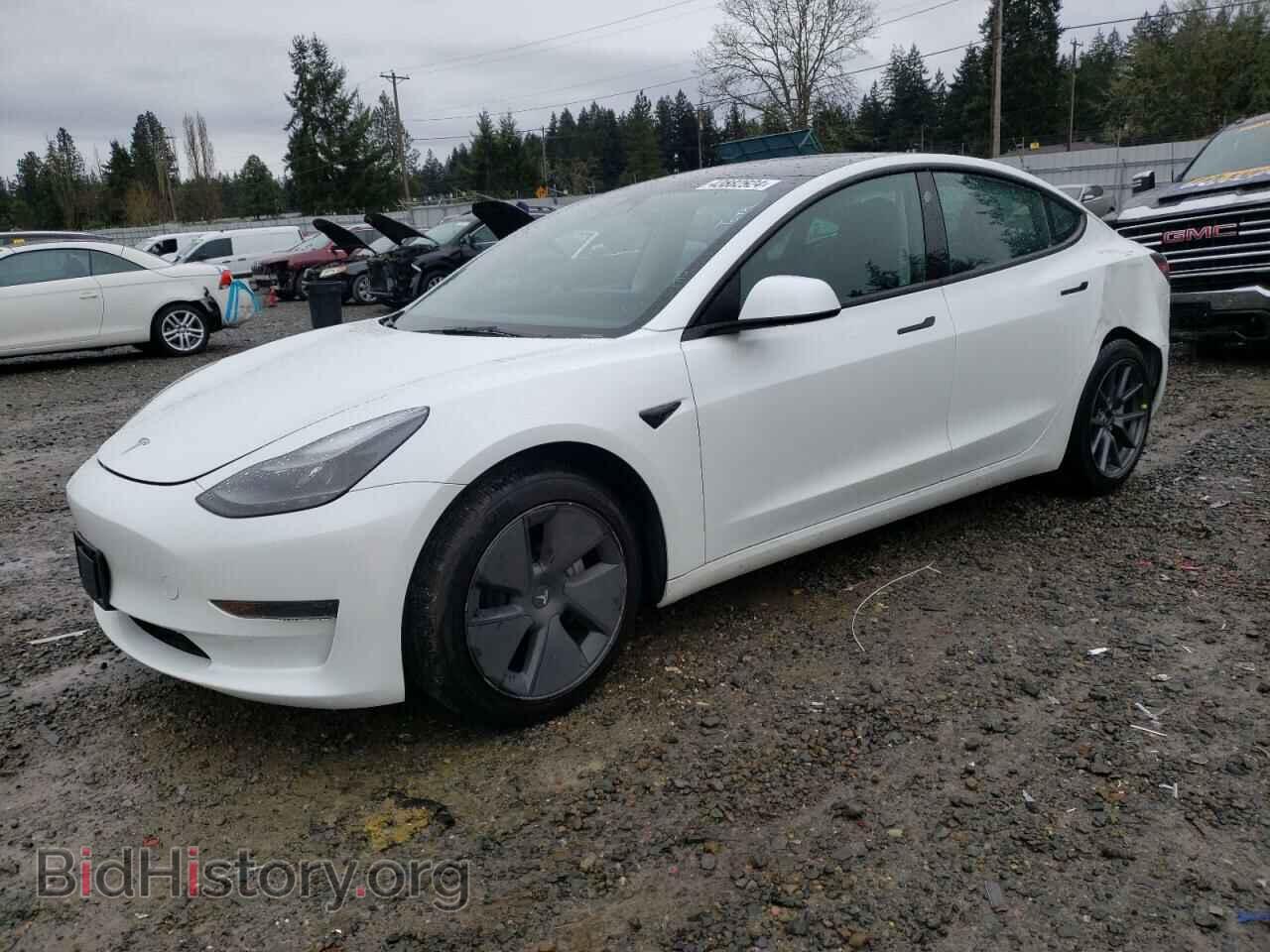 Фотография 5YJ3E1EA0PF489260 - TESLA MODEL 3 2023