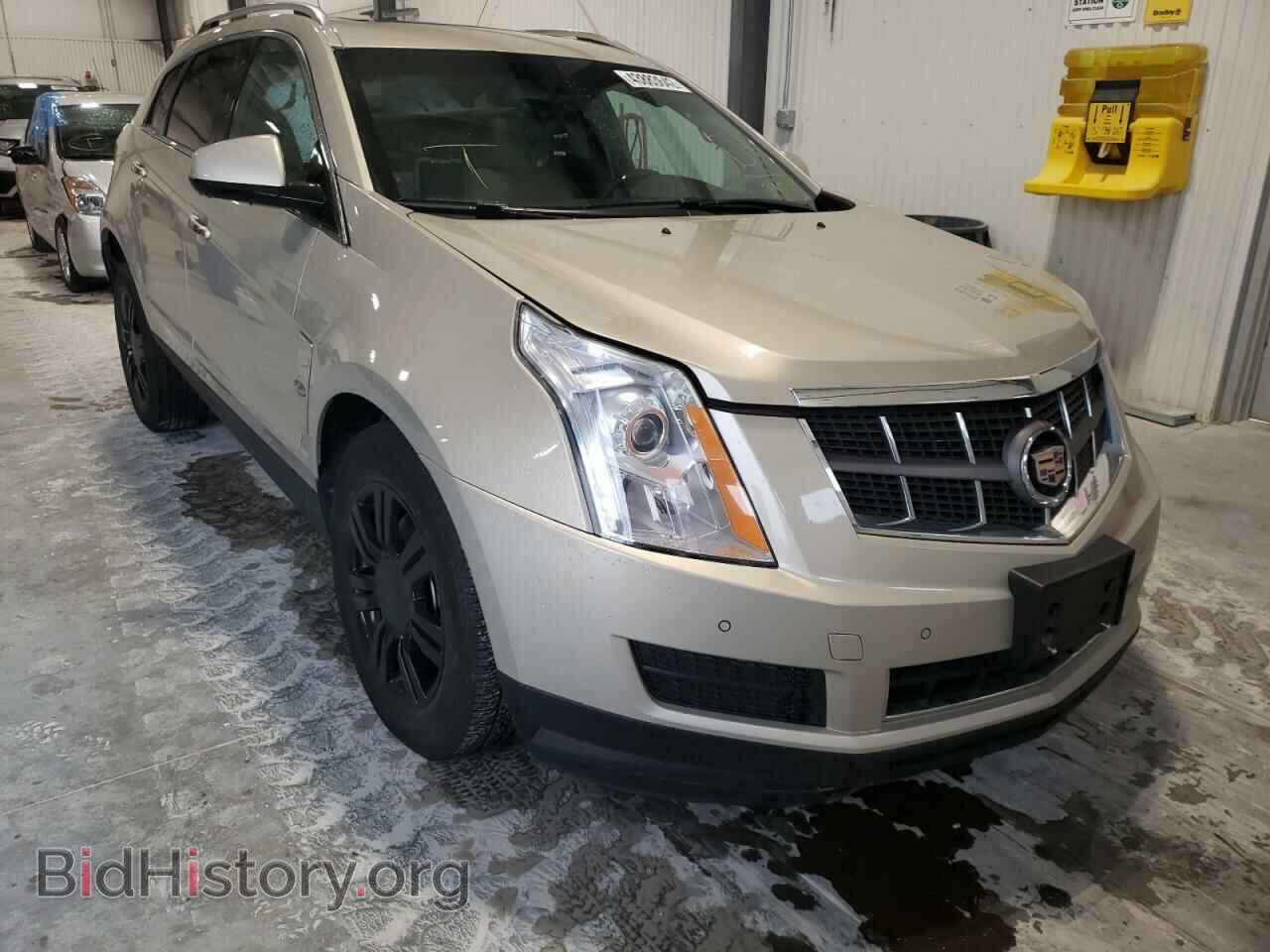 Фотография 3GYFNAEY6AS638953 - CADILLAC SRX 2010