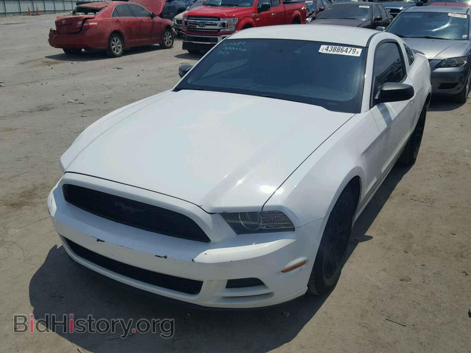 2014 FORD MUSTANG - VIN: 1ZVBP8AM4E5222570 - Фото 2