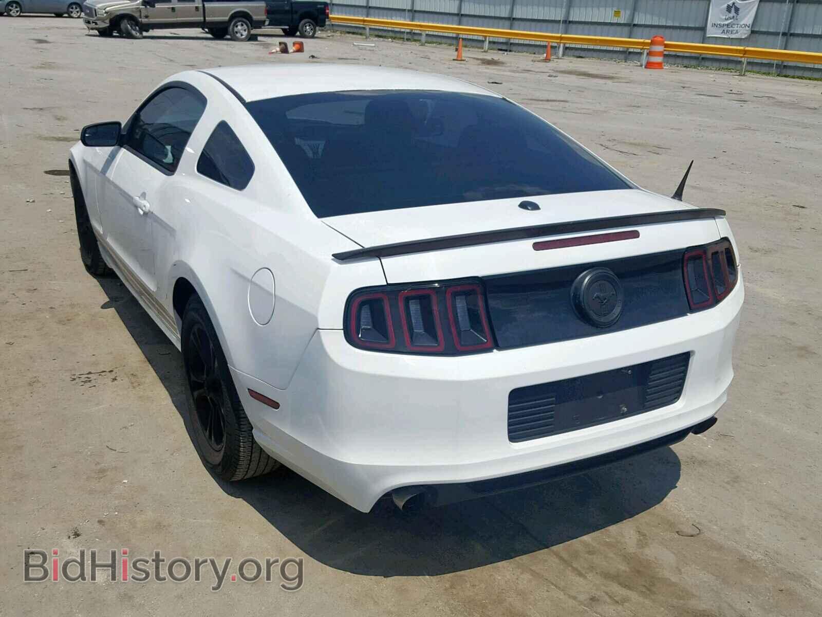 2014 FORD MUSTANG - VIN: 1ZVBP8AM4E5222570 - Фото 3