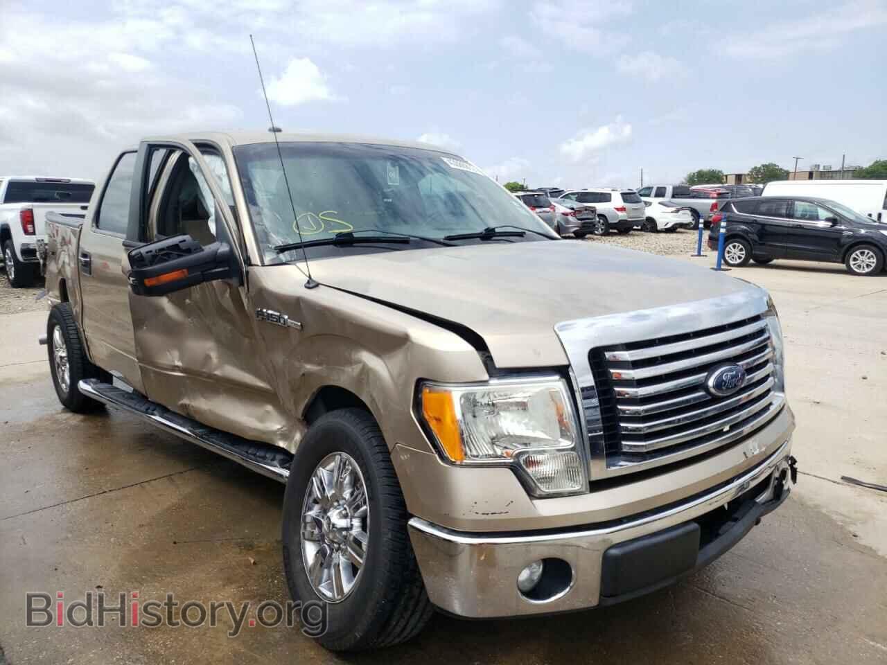 Фотография 1FTFW1CF3CFC40191 - FORD F-150 2012