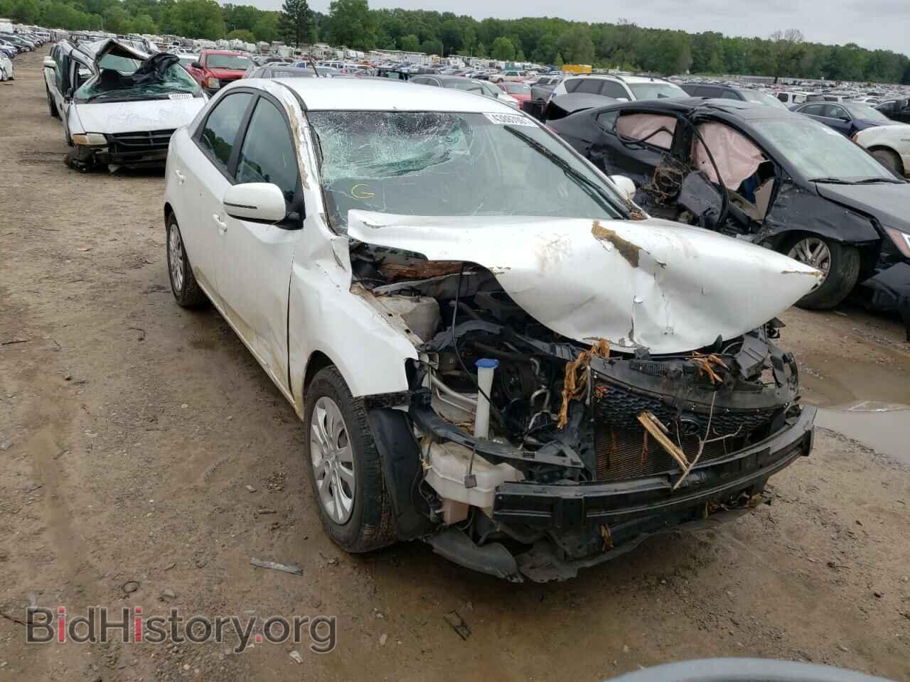 Фотография KNAFU4A24D5732823 - KIA FORTE 2013