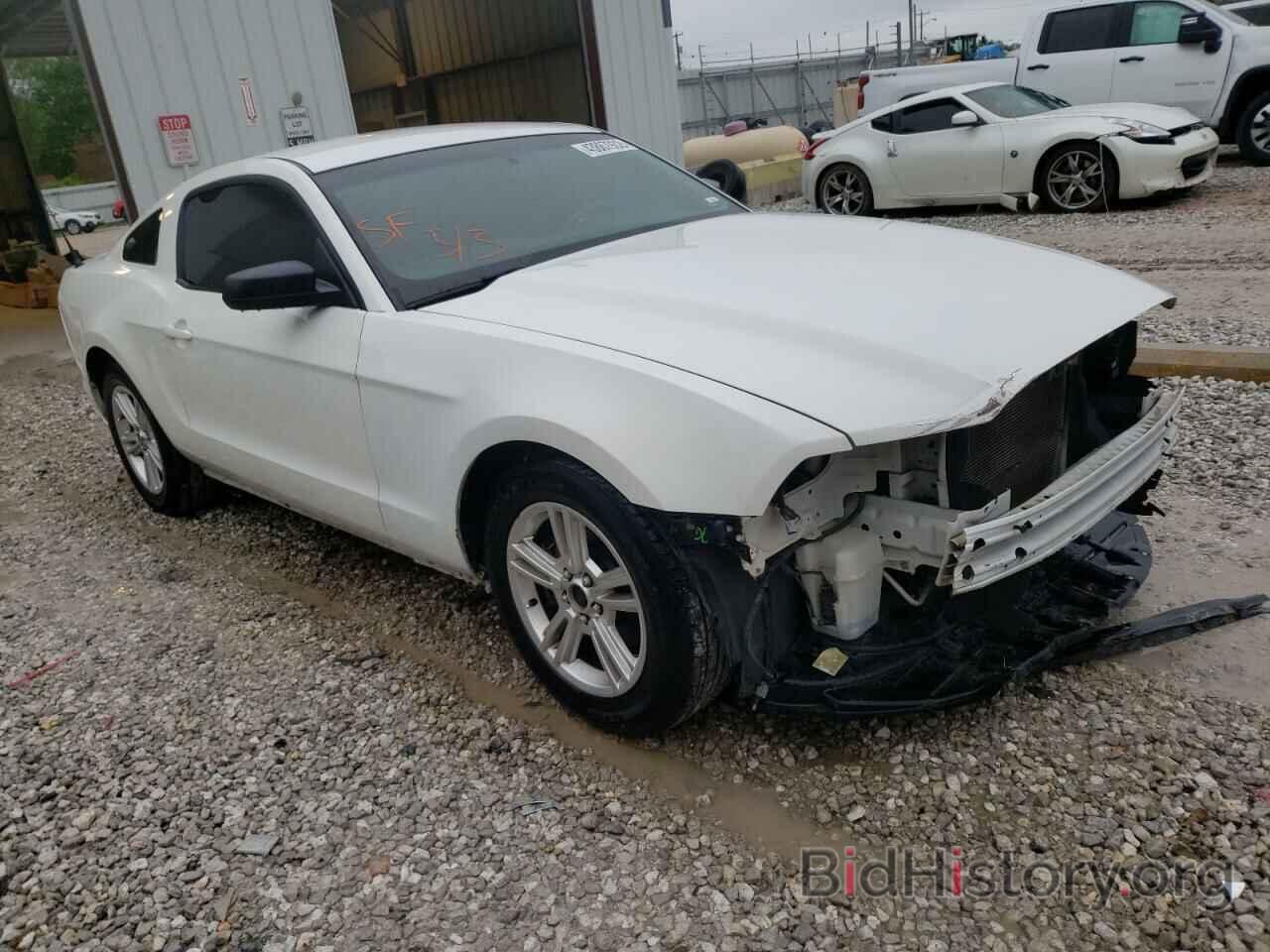 Photo 1ZVBP8AM8D5221257 - FORD MUSTANG 2013