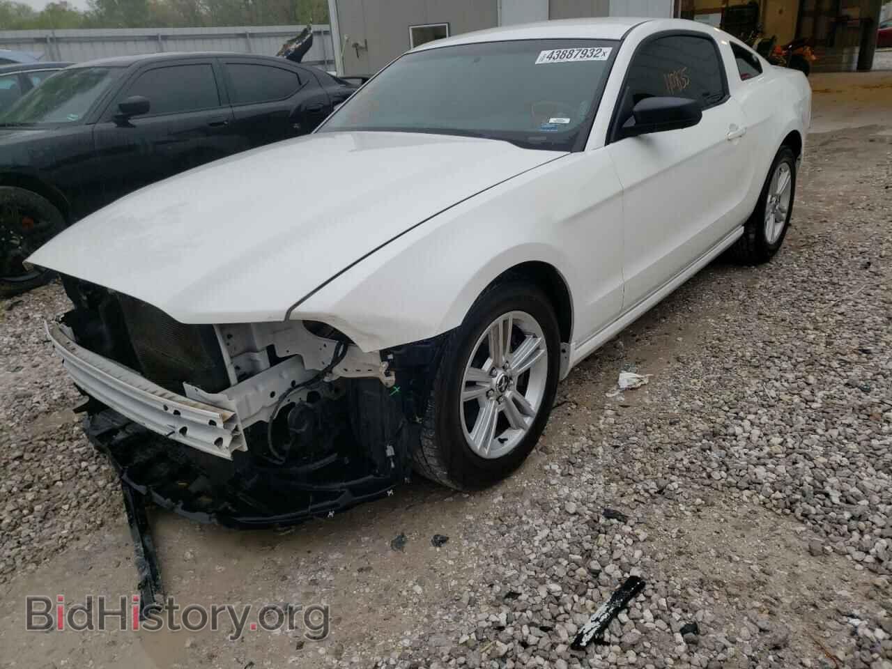 2013 FORD MUSTANG - VIN: 1ZVBP8AM8D5221257 - Фото 2