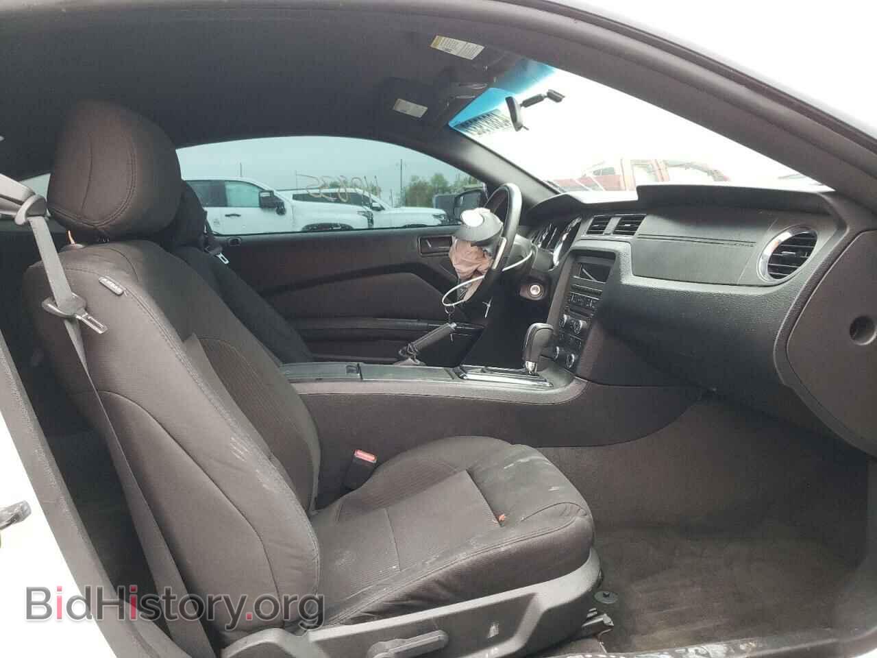 2013 FORD MUSTANG - VIN: 1ZVBP8AM8D5221257 - Фото 5