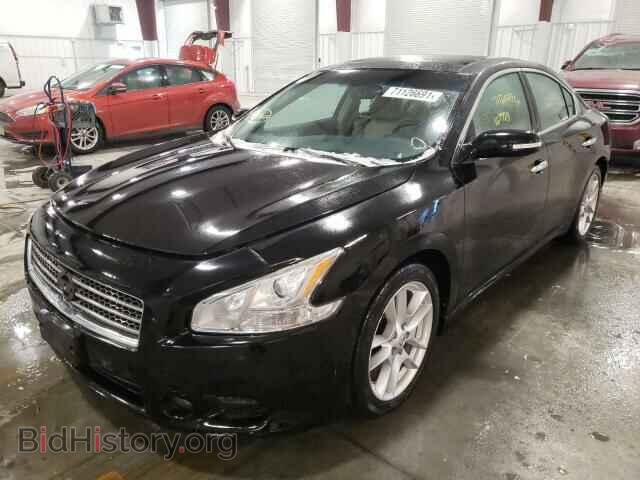2009 NISSAN MAXIMA - VIN: 1N4AA51E79C859743 - Фото 2