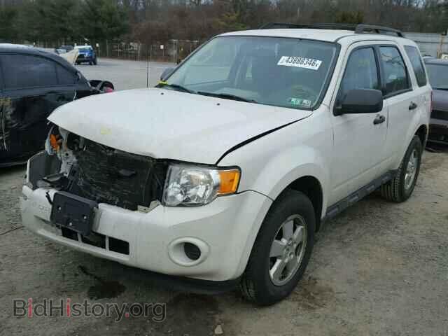 2011 FORD ESCAPE - VIN: 1FMCU0C78BKC40300 - Фото 2