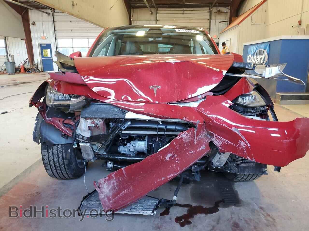 2023 TESLA MODEL Y - VIN: 7SAYGDEEXPA077013 - Фото 5