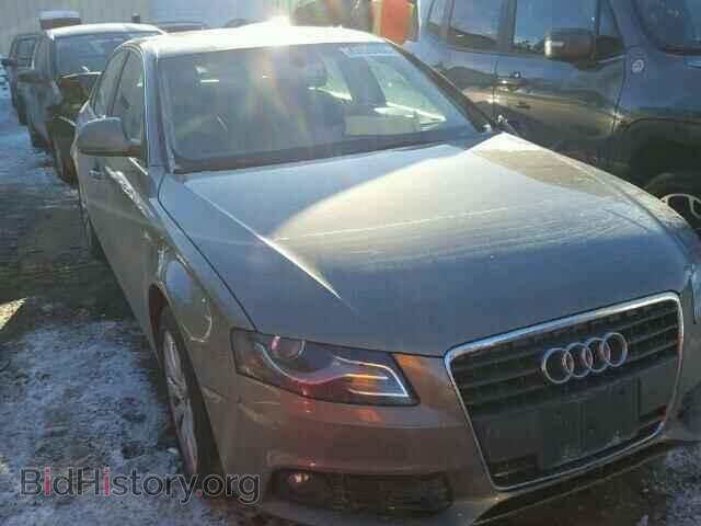 Фотография WAUSF78K99N036983 - AUDI A4 2009