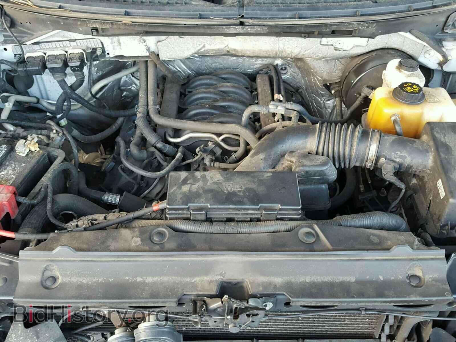 2013 FORD F150 - VIN: 1FTNF1CF1DKF76328 - Фото 3