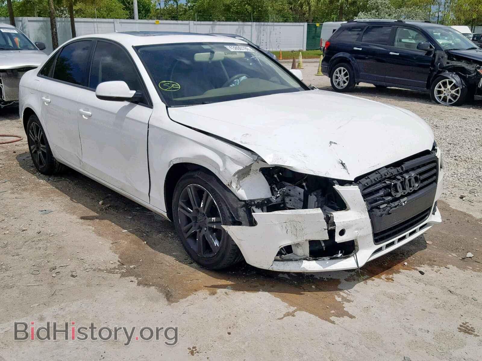 Фотография WAUAFAFL7AN034030 - AUDI A4 2010