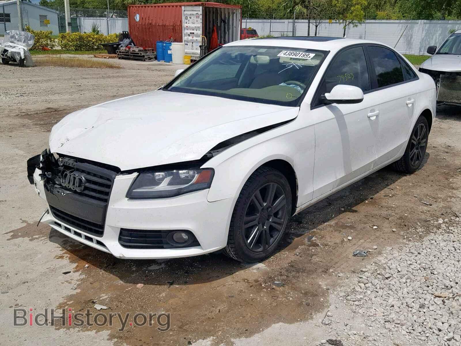 2010 AUDI A4 - VIN: WAUAFAFL7AN034030 - Фото 2