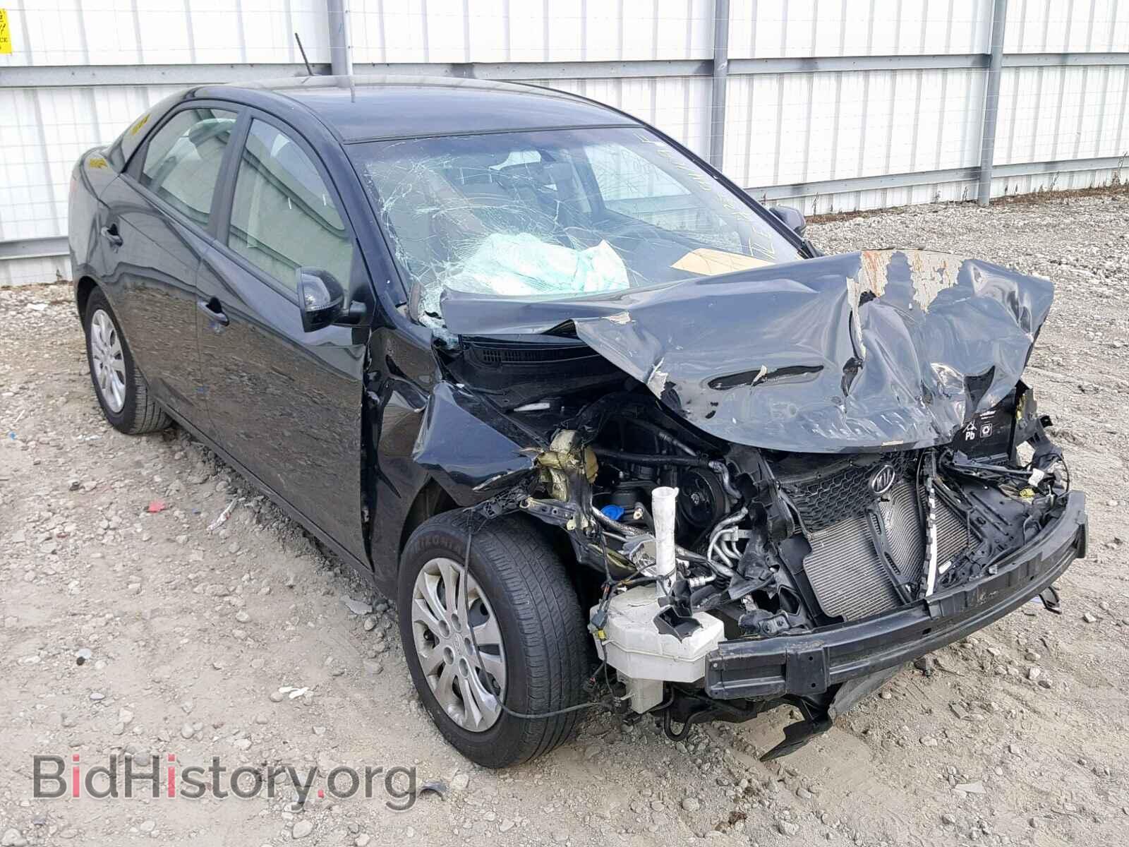 Фотография KNAFU4A24D5646055 - KIA FORTE EX 2013
