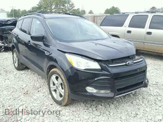 Photo 1FMCU0GX6DUA02219 - FORD ESCAPE 2013