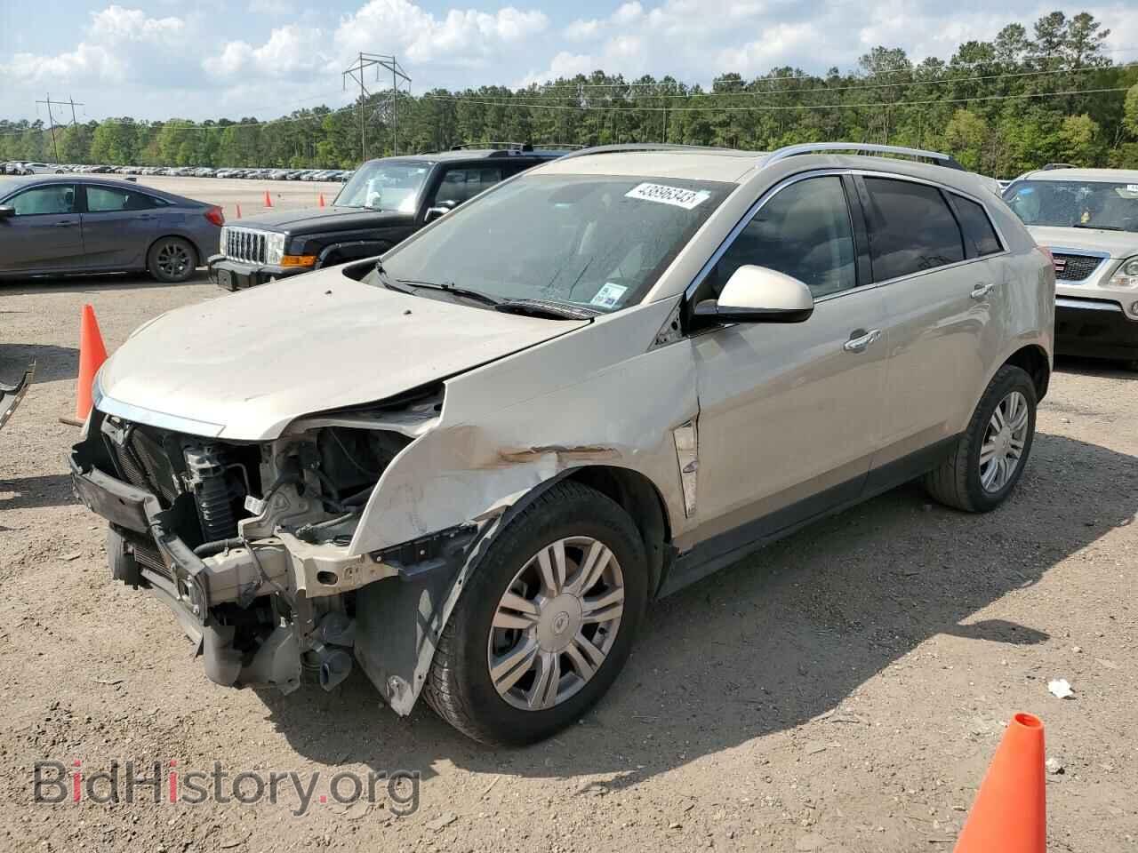 Фотография 3GYFNAE35CS544134 - CADILLAC SRX 2012