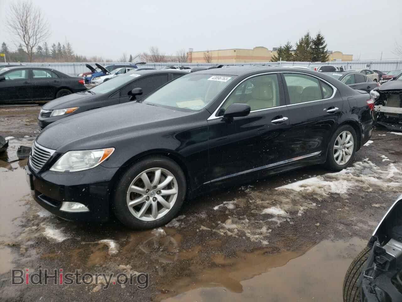 Фотография JTHBL46F575007542 - LEXUS LS460 2007