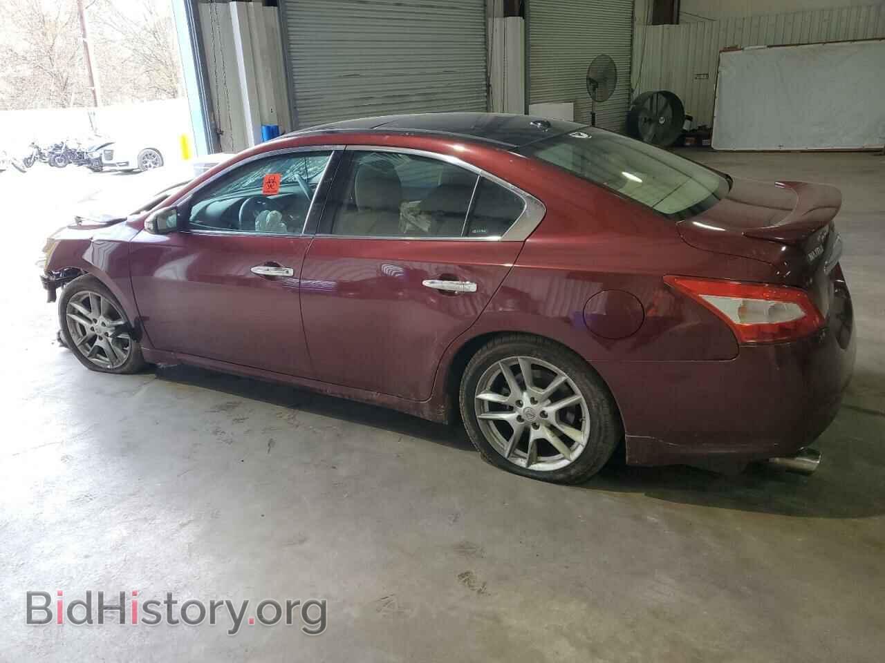 2011 NISSAN MAXIMA - VIN: 1N4AA5APXBC832303 - Фото 2