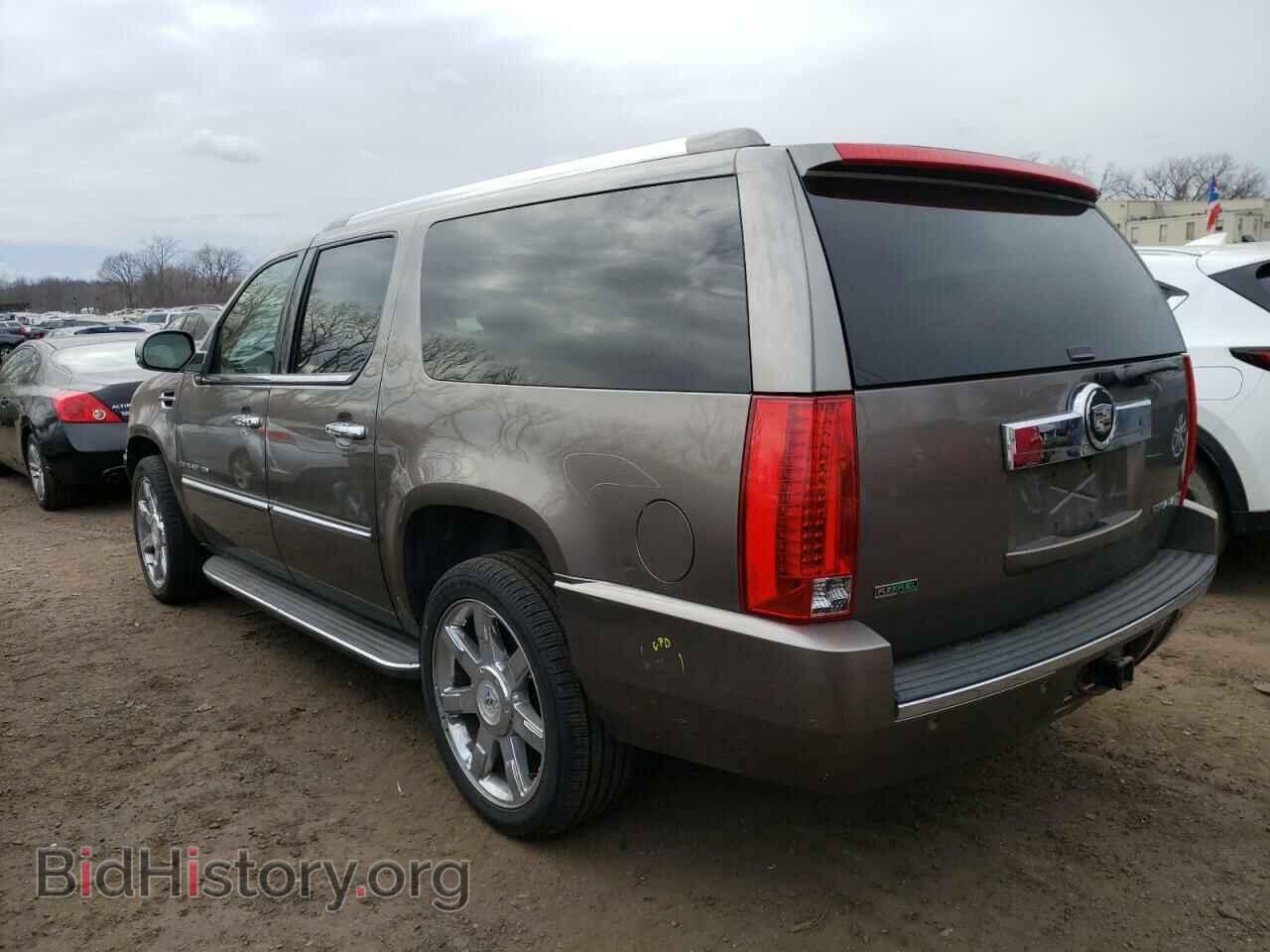 2011 CADILLAC ESCALADE - VIN: 1GYS4HEF6BR393021 - Фото 2