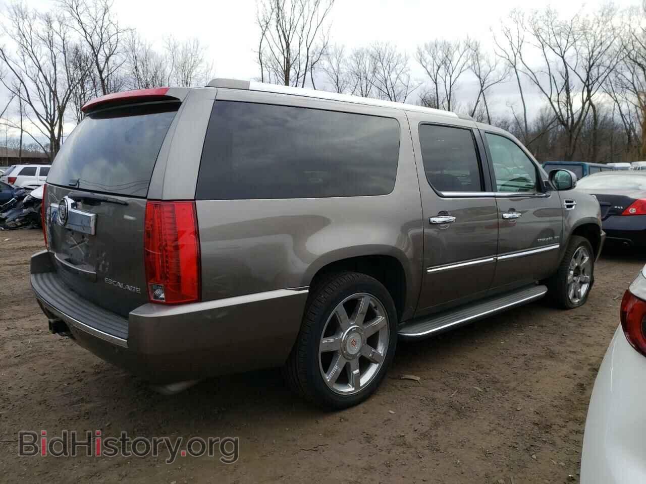 2011 CADILLAC ESCALADE - VIN: 1GYS4HEF6BR393021 - Фото 3